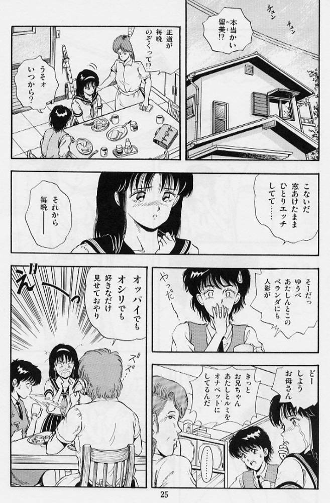 [Tokizumi Emishi] Kaze no Higashi no Tuki no Mori page 27 full