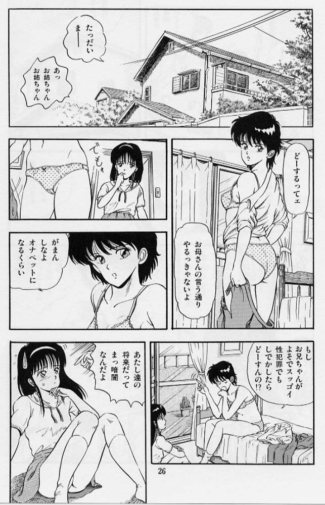 [Tokizumi Emishi] Kaze no Higashi no Tuki no Mori page 28 full