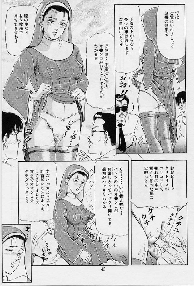 [Tokizumi Emishi] Kaze no Higashi no Tuki no Mori 3 page 47 full