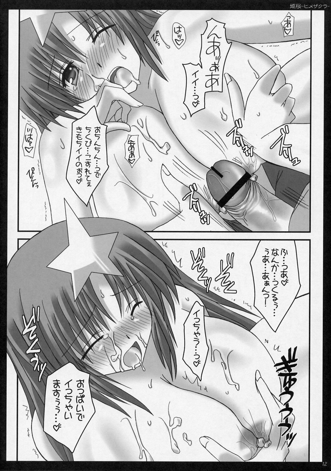 (CR37) [HAPPY WATER (Kizaki Yuuri)] Himezakura (Gundam Seed Destiny) page 11 full