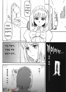 (C63) [MOON RULER (Tsukino Jyogi)] Moon Ruler Laboratory 2002 Winter (Tsukihime) [Korean] [EnjoyH] - page 20