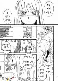 (C63) [MOON RULER (Tsukino Jyogi)] Moon Ruler Laboratory 2002 Winter (Tsukihime) [Korean] [EnjoyH] - page 27
