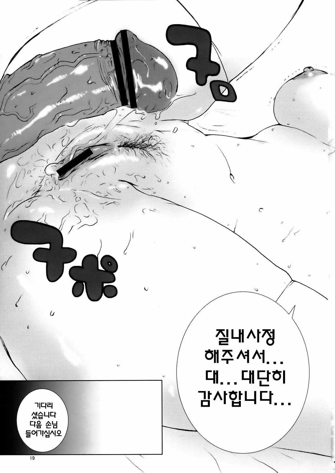 (C69) [Manga Super (Nekoi Mie)] KASUMI CHANCO 360 (Dead or Alive) [Korean] page 18 full