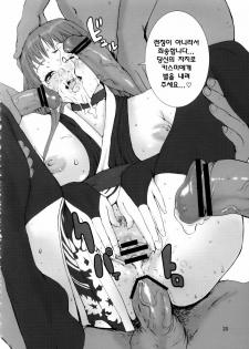 (C69) [Manga Super (Nekoi Mie)] KASUMI CHANCO 360 (Dead or Alive) [Korean] - page 19