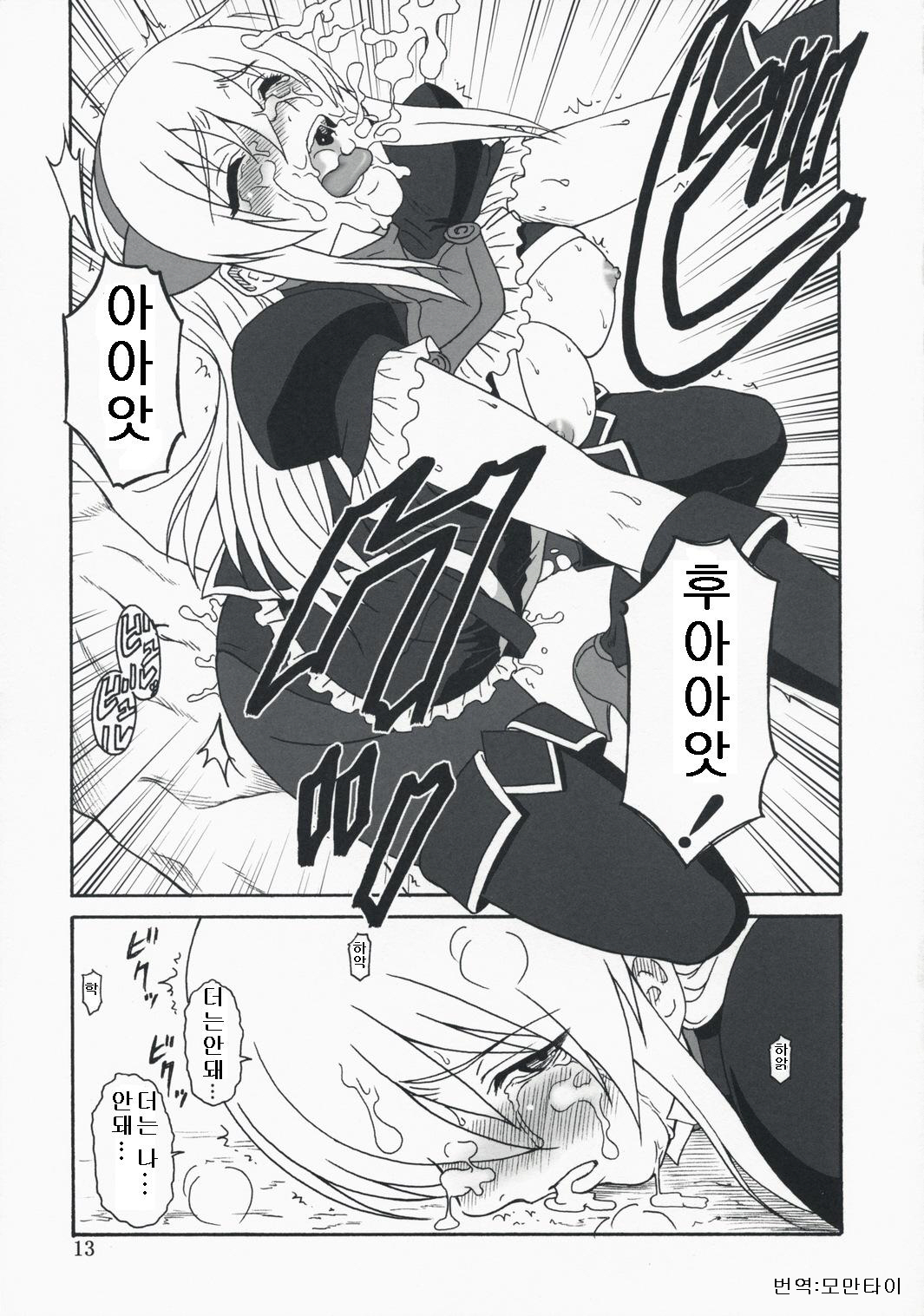 (C74) [Oretachi Misnon Ikka (Misnon the Great)] Gyokusai Kakugo na Toppatsu bon (Tower of Druaga) [Korean] page 12 full