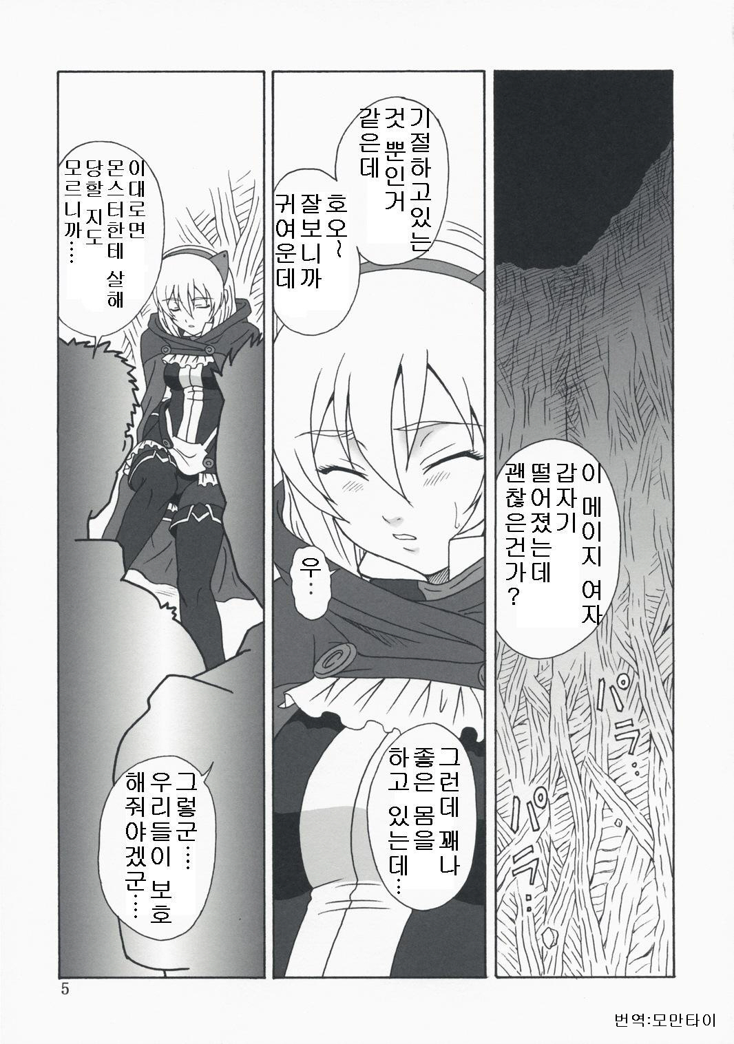 (C74) [Oretachi Misnon Ikka (Misnon the Great)] Gyokusai Kakugo na Toppatsu bon (Tower of Druaga) [Korean] page 4 full