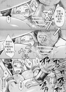 (C71) [Bakunyu Fullnerson (Kokuryuugan)] Exotic Shoukougun - Exotic Syndrome (Queen's Blade) [Korean] [Project H] - page 13