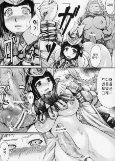 (C71) [Bakunyu Fullnerson (Kokuryuugan)] Exotic Shoukougun - Exotic Syndrome (Queen's Blade) [Korean] [Project H] - page 42