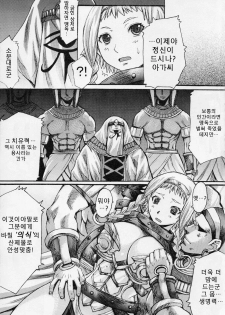 (C71) [Bakunyu Fullnerson (Kokuryuugan)] Exotic Shoukougun - Exotic Syndrome (Queen's Blade) [Korean] [Project H] - page 7