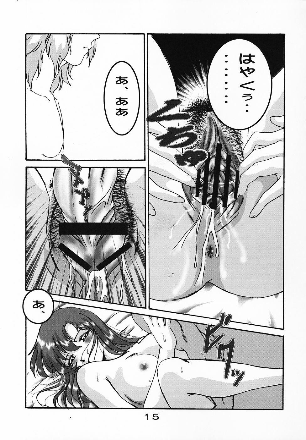 (C69) [Studio BOXER (Machumoto Nyao, Shima Takashi, Taka)] HOHETO 32 (Gundam SEED DESTINY) page 14 full