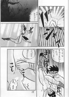 (CR15) [Igyouha Club (Various)] Mai Ranbu (Fatal Fury) - page 14