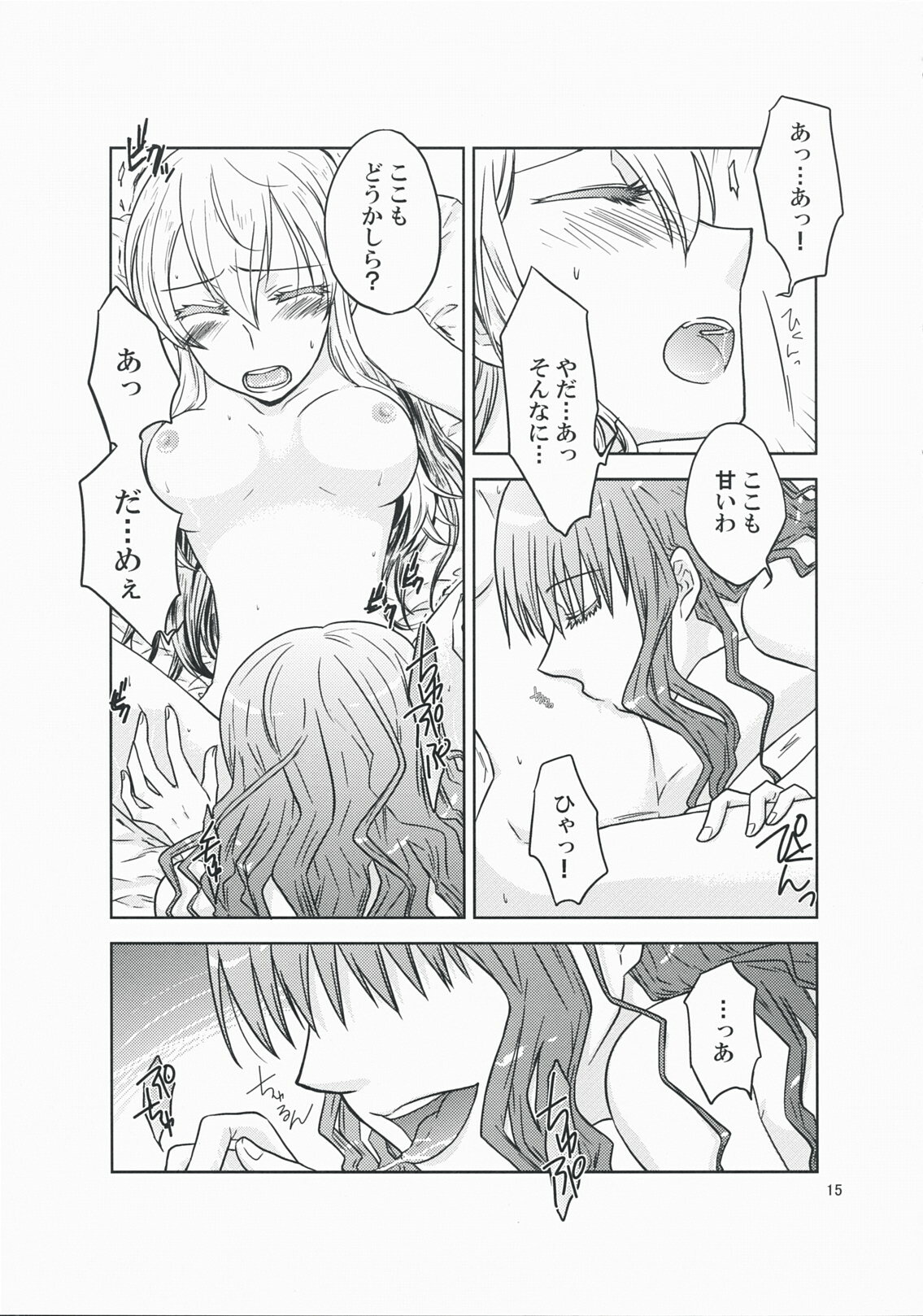 (COMIC1☆3) [VINEGER (Fujiwara Kanako)] Kanojo no Negai to, Kanojo no Negai (Shikkoku no Sharnoth ~what a beautiful tomorrow~) page 15 full