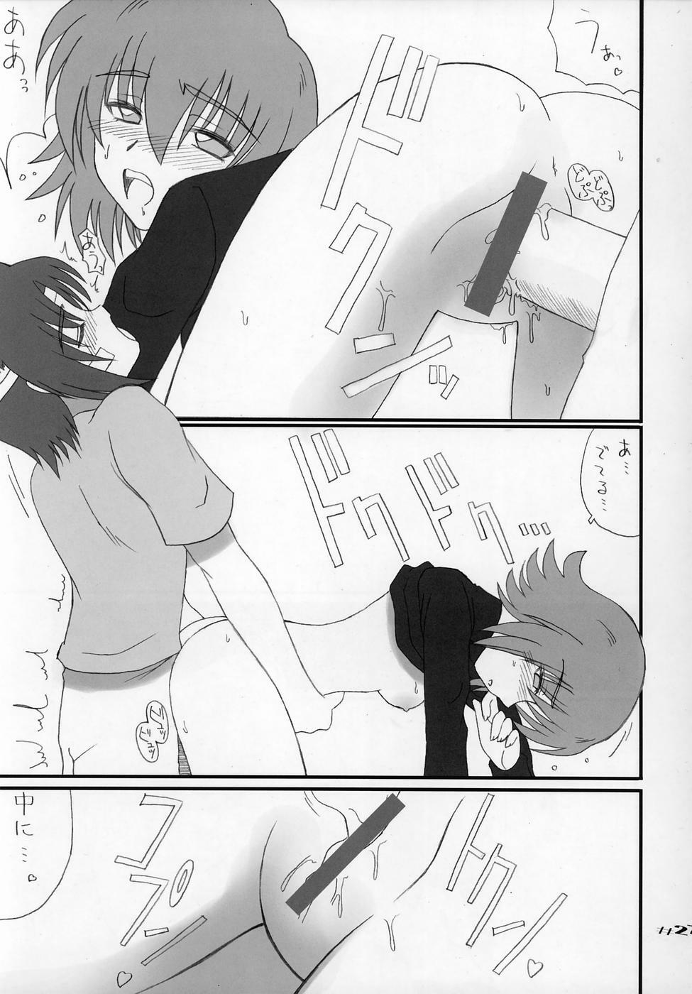 (C68) [Oh!saka Spirits (Ugeppa, Aiyama Toshikazu, Uzu)] Uganda mk2 (Gundam SEED Destiny) page 27 full