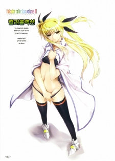 (C73) [TRI-MOON! (Mikazuki Akira!)] Lightning stars -karakore 1- (Mahou Shoujo Lyrical Nanoha) [Korean] [Team H] - page 2