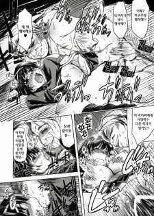 (C72) [Xration (mil)] MIXED-REAL (Zeroin) [Korean] [Project H] - page 13