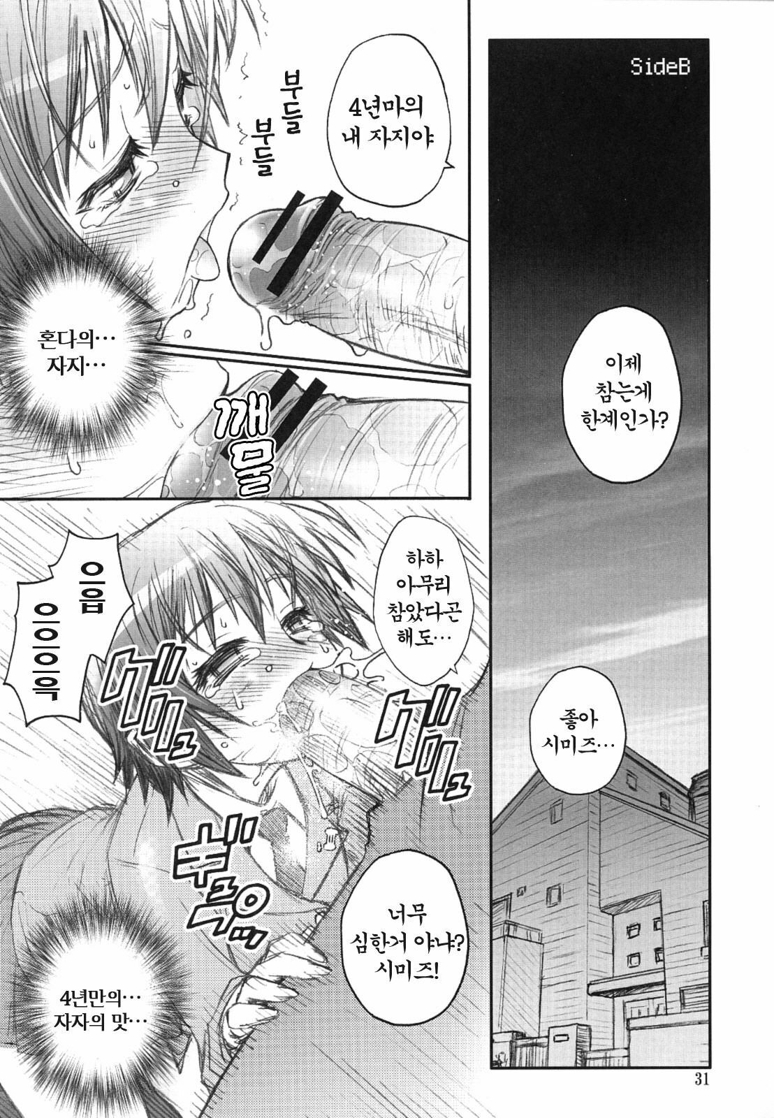 (C69) [RIROLAND (Kuuya, Satomi Hiroyuki)] MOJER SECOND (Major) [Korean] [Project H] page 28 full