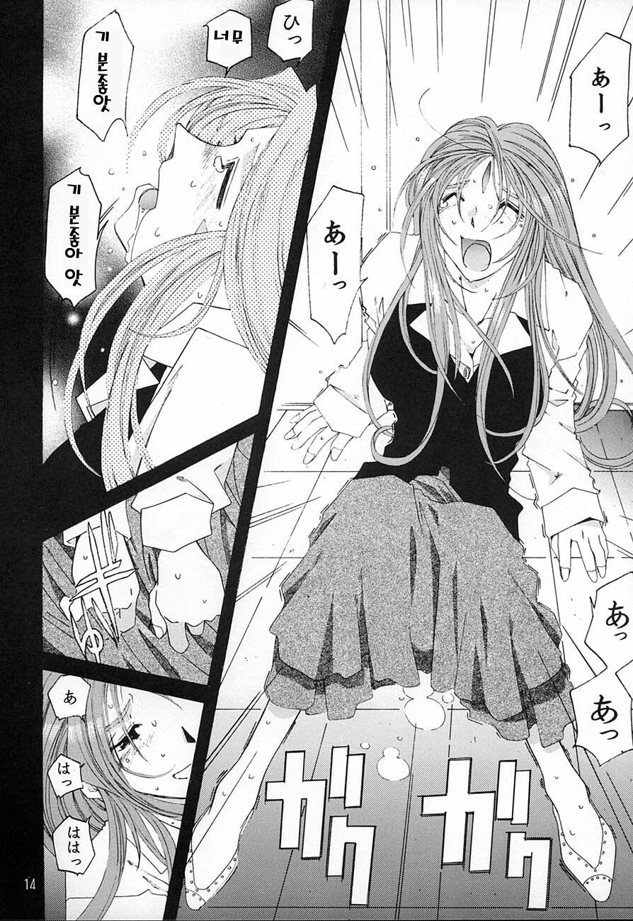 [RPG Company 2 (Toumi Haruka)] SILENT BELL aberration (Ah! My Goddess!) [Korean] page 13 full