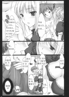 (C71) [UDON-YA (Kizuki Aruchu, ZAN)] Kyou dake desu yo? (Fate/hollow ataraxia) [Korean] [PANZERTALEZ] - page 12