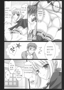 (C71) [UDON-YA (Kizuki Aruchu, ZAN)] Kyou dake desu yo? (Fate/hollow ataraxia) [Korean] [PANZERTALEZ] - page 9