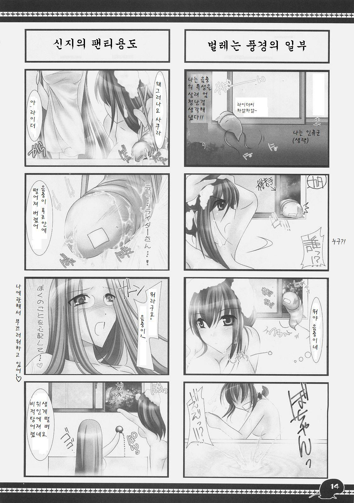 (C71) [UDON-YA (Kizuki Aruchu, ZAN)] Sawayaka 4koma Inchuu-kun Soushuuhen + alpha (Fate/stay night) [Korean] page 13 full