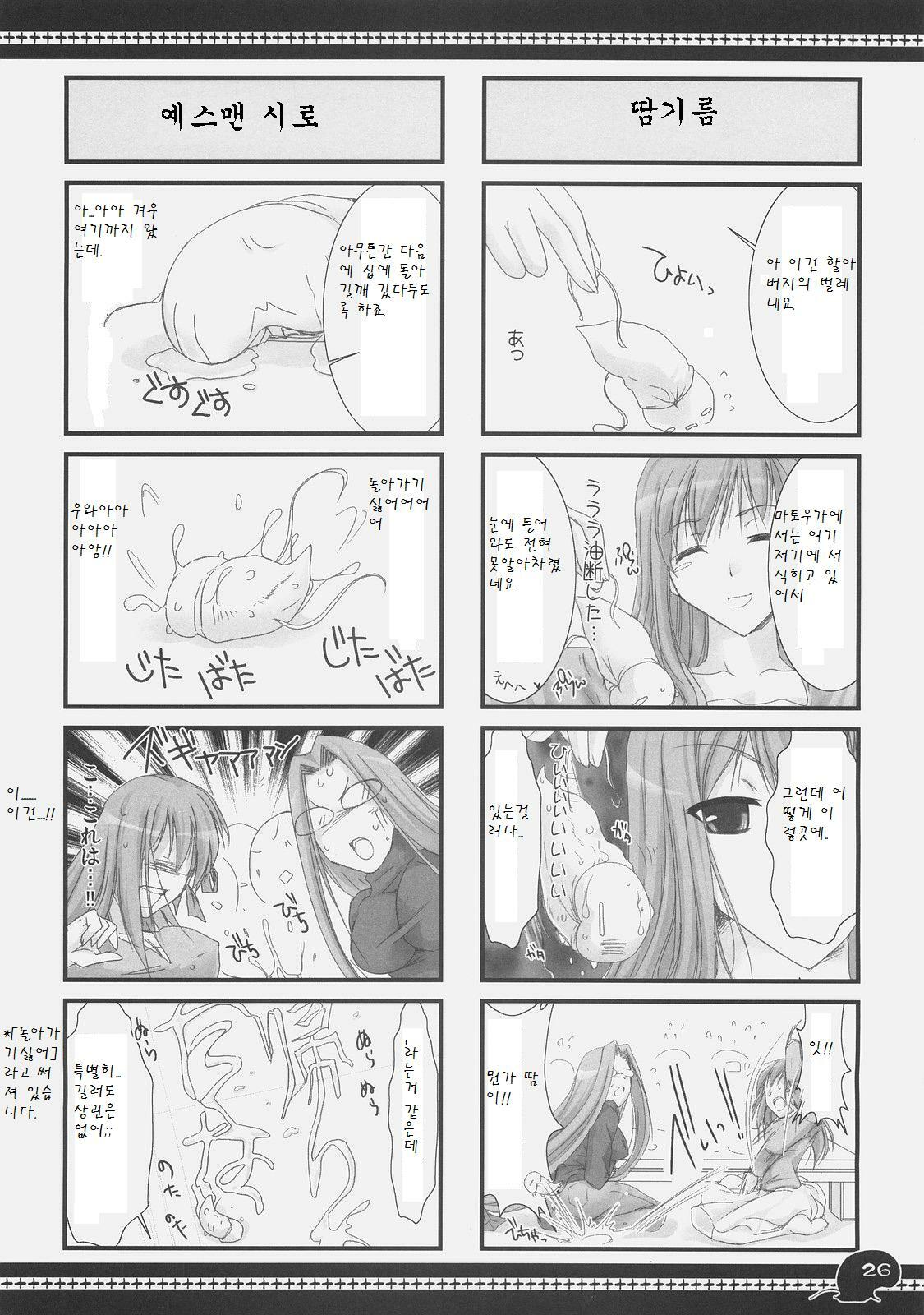 (C71) [UDON-YA (Kizuki Aruchu, ZAN)] Sawayaka 4koma Inchuu-kun Soushuuhen + alpha (Fate/stay night) [Korean] page 25 full