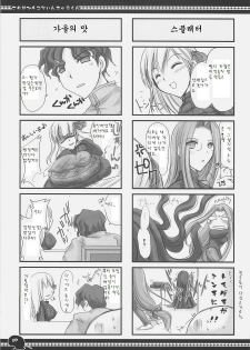 (C71) [UDON-YA (Kizuki Aruchu, ZAN)] Sawayaka 4koma Inchuu-kun Soushuuhen + alpha (Fate/stay night) [Korean] - page 18