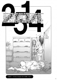 (COMIC1☆2) [Otaku Beam (Ootsuka Mahiro)] 2514 [24→←14] #Extra chapter [Korean] [팀 면갤] - page 12