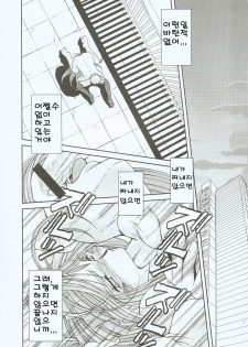 (C65) [CIRCLE OUTERWORLD (Chiba Shuusaku)] Midgard  (Ah! My Goddess) [Korean] - page 21