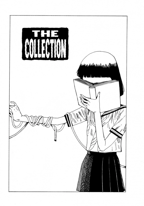 [Kago Shintaro] The Collection [English]