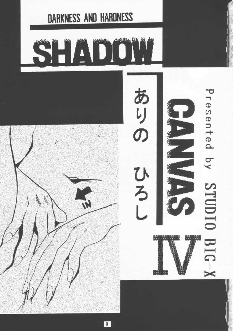 (CR19) [Studio BIG-X (Arino Hiroshi)] SHADOW CANVAS 4 (Various) page 2 full