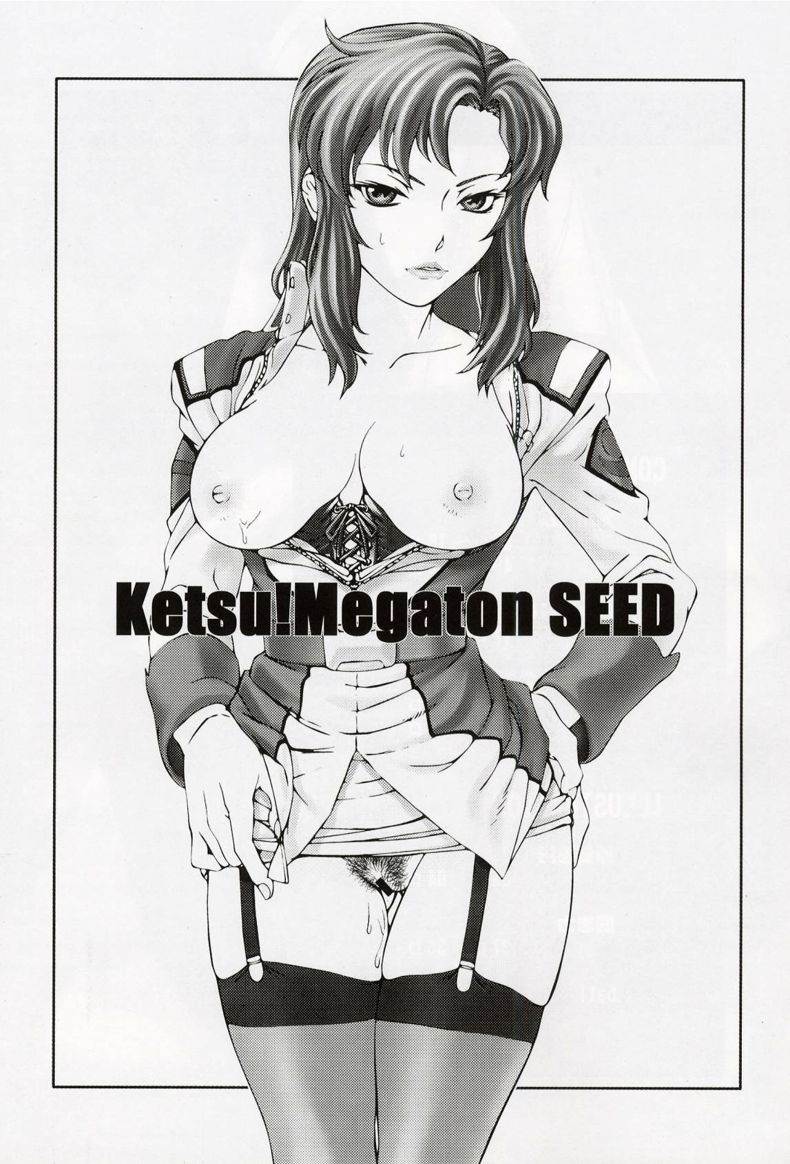 (C64) [Toluene Ittokan (Pierre Norano, Shinagawa Ham)] KETSU! MEGATON Seed (Gundam SEED) page 2 full