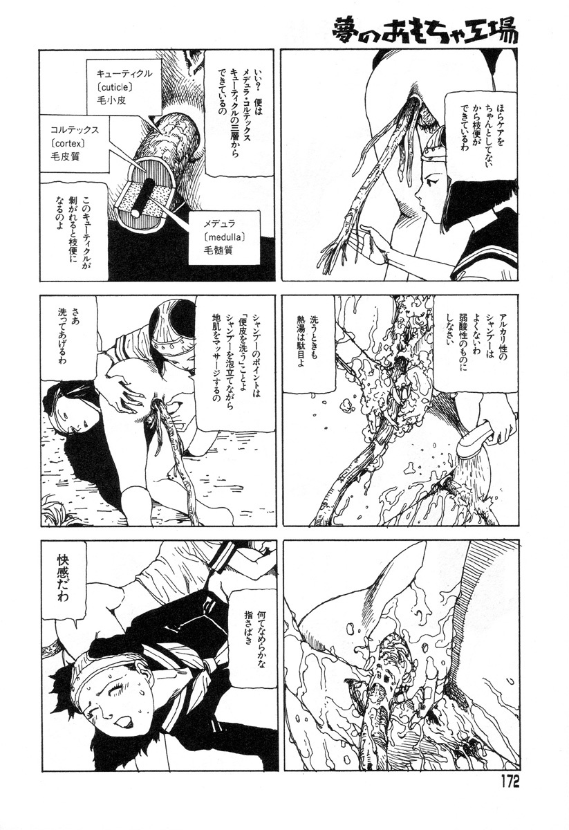 [Kago Shintarou] Yume no Omocha Koujou page 169 full