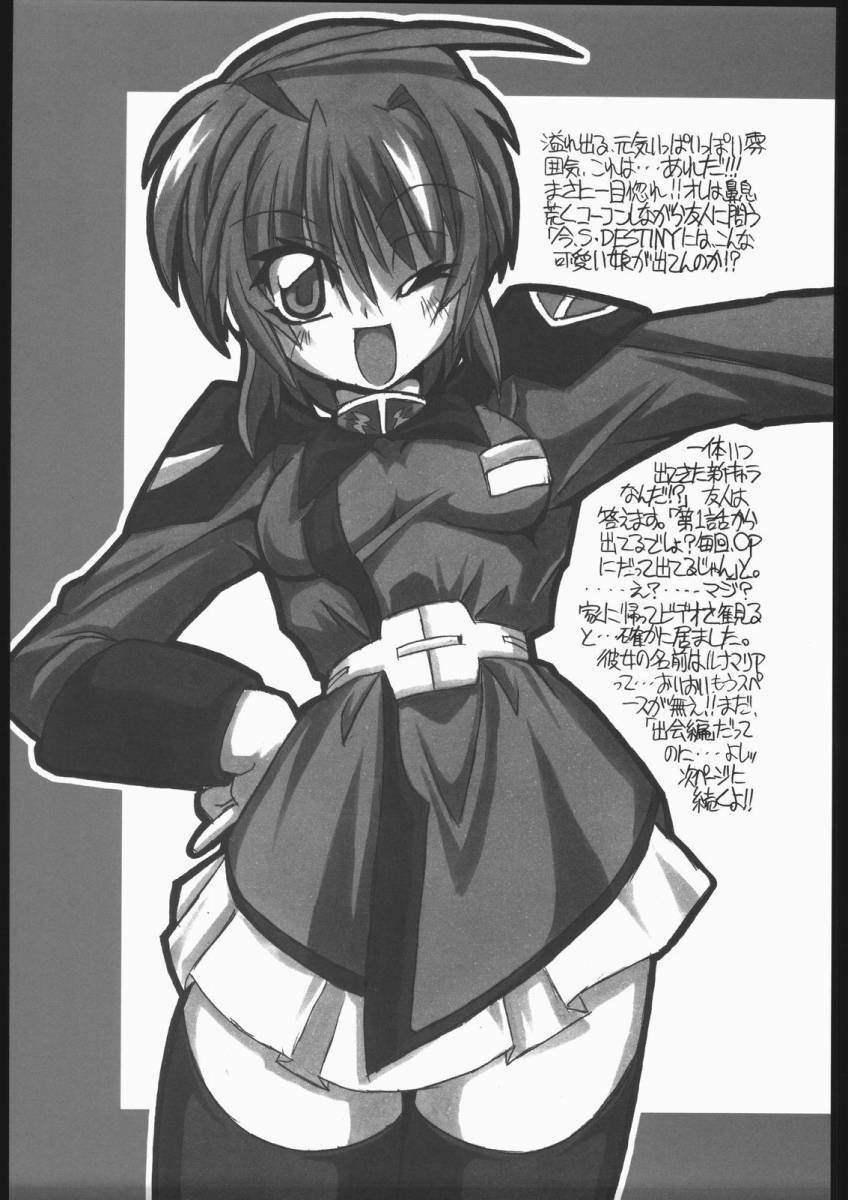 (CR37) [NNZ Dan (Great Magami)] Kawaisa Amatte!! (Gundam SEED Destiny) page 4 full