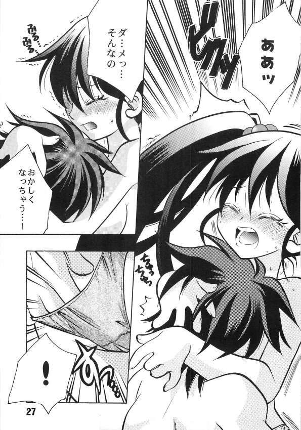 (SC15) [Yuusha Densetsu (Mayumori Mei)] Roto no Hanayome Dai 1 Ya (Dragon Quest Retsuden Roto no Monshou) page 25 full