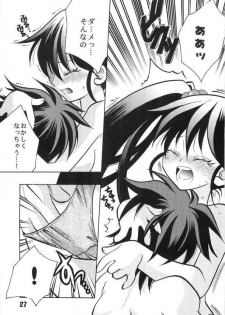 (SC15) [Yuusha Densetsu (Mayumori Mei)] Roto no Hanayome Dai 1 Ya (Dragon Quest Retsuden Roto no Monshou) - page 25