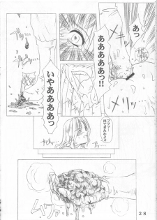 (C60) [prettydolls (Araki Hiroaki, Fukami Naoyuki)] PULP Atarashii Nakoruru Kyoukasho (Samurai Spirits) - page 27