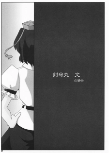 (SC36) [Kieyza cmp (Kieyza)] TOHO N+ #2 (Touhou Project) - page 6