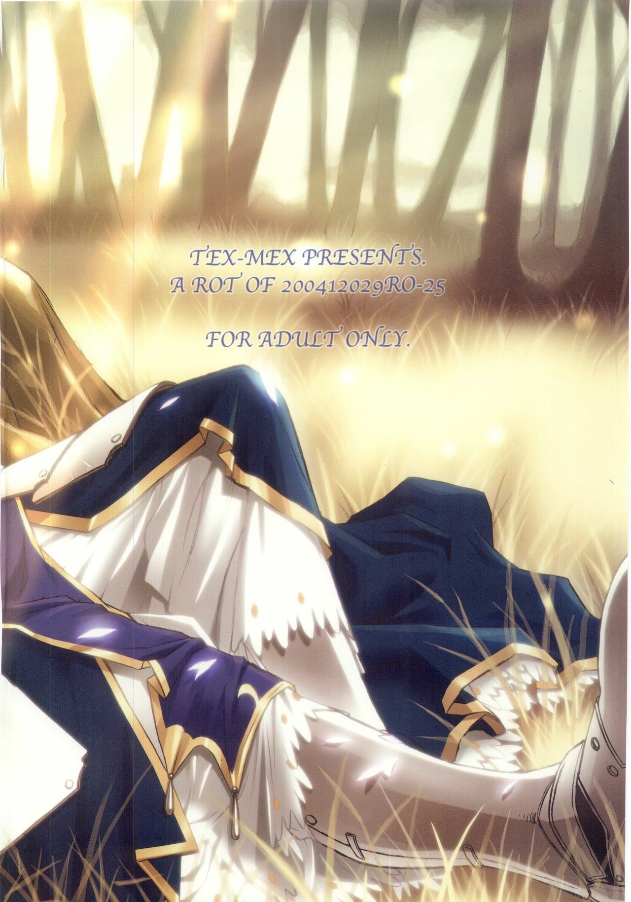 (C67) [TEX-MEX (Various)] Fate/Over lord (Fate/stay night) page 34 full