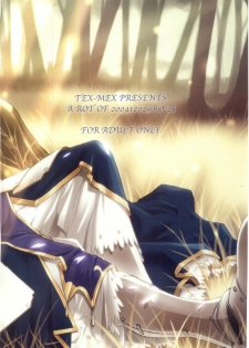 (C67) [TEX-MEX (Various)] Fate/Over lord (Fate/stay night) - page 34