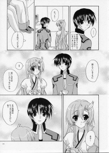 (SC26) [Artificial Eden (Kisaragi Kanata)] Memorial Address (Gundam Seed) - page 24