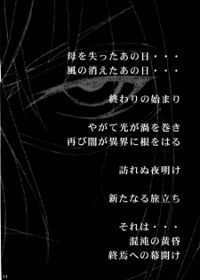 [Ruki Ruki EXISS (Fumizuki Misoka)] Misoka no 3 (Various) - page 11
