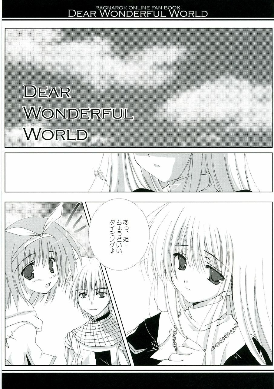 (C68) [A.L.C (Kannazuki Nem)] DEAR WONDERFUL WORLD (Ragnarok Online) page 5 full