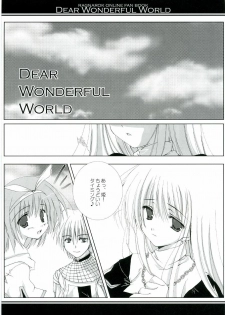 (C68) [A.L.C (Kannazuki Nem)] DEAR WONDERFUL WORLD (Ragnarok Online) - page 5