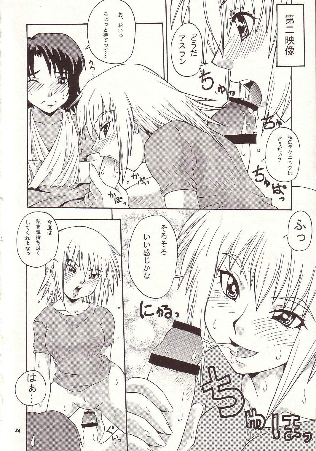 (C64) [MANGANA (Doluta, Nishimo)] Nyan Nyan Seed 3 (Gundam Seed) page 23 full