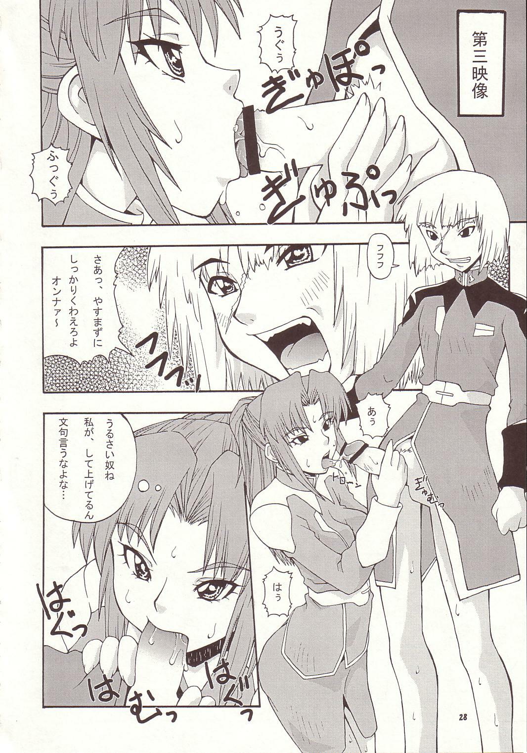 (C64) [MANGANA (Doluta, Nishimo)] Nyan Nyan Seed 3 (Gundam Seed) page 27 full