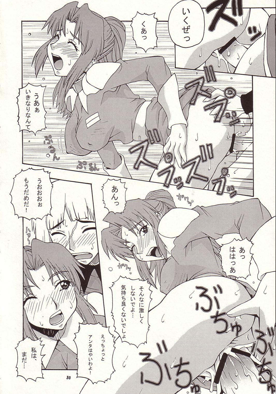 (C64) [MANGANA (Doluta, Nishimo)] Nyan Nyan Seed 3 (Gundam Seed) page 29 full