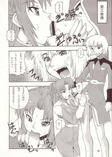 (C64) [MANGANA (Doluta, Nishimo)] Nyan Nyan Seed 3 (Gundam Seed) - page 27