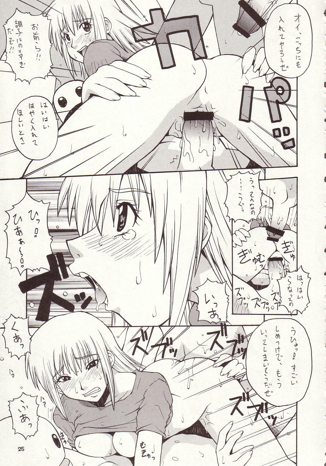 [MANGANA (Doluta, Nishimo)] Nyan Nyan Seed II (Gundam Seed) page 24 full