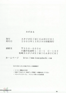 [C65] [Studio Kimigabuchi] Negimaru (Mahou Sensei Negima) [English] [SaHa] - page 37