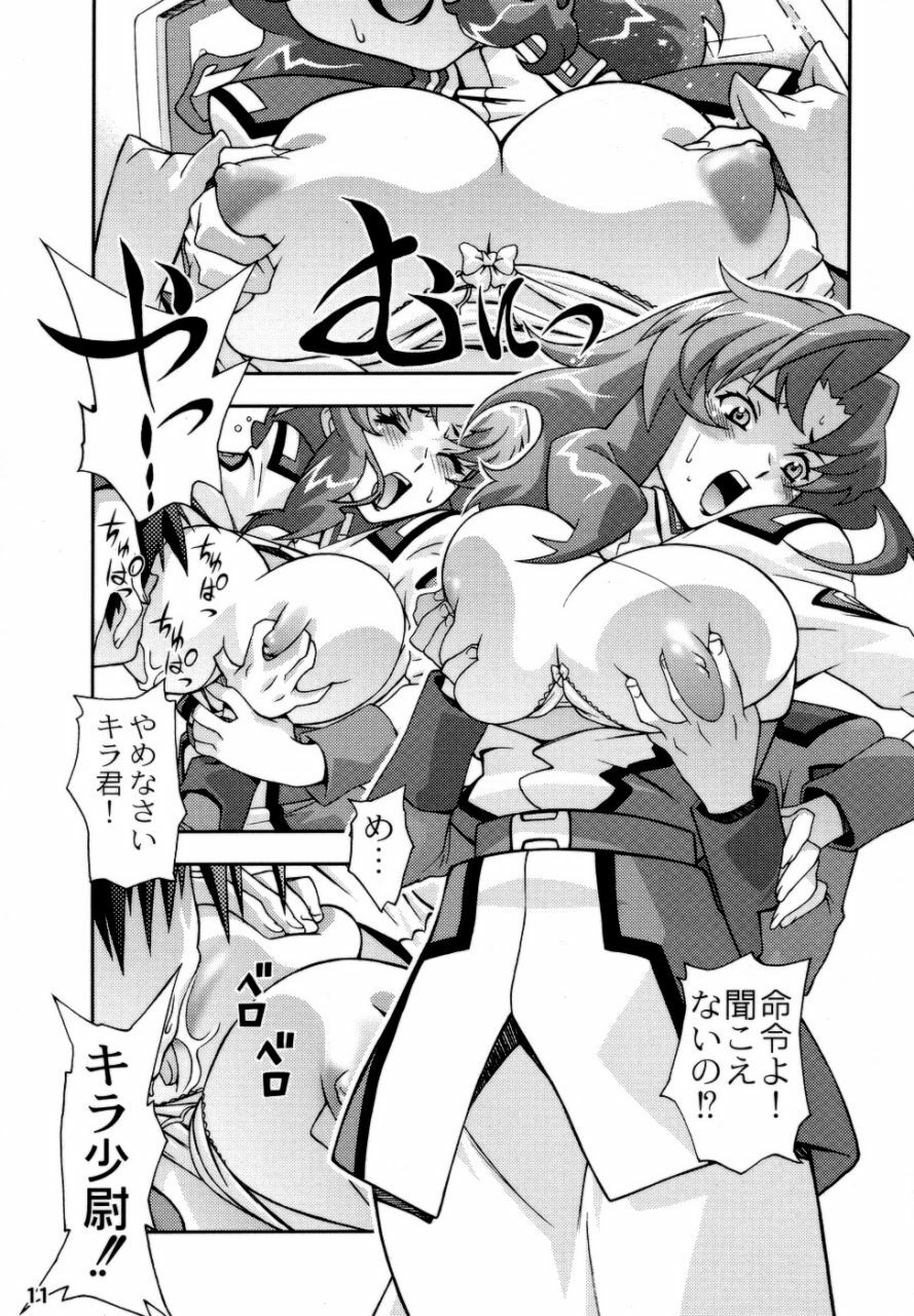 (CR35) [Sanryuu Club (Suzuki Ganma, Suzuki Kimchi)] Okadu Hatake (Gundam SEED) page 10 full